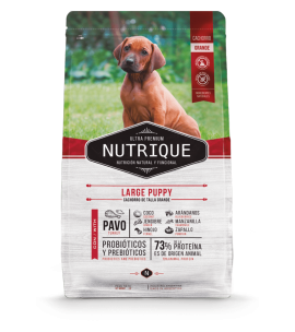 Nutrique Large Puppy