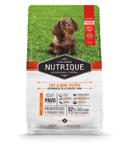 Nutrique Toy & Mini Puppy