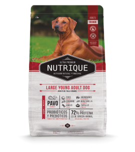 Nutrique Large Young Adult Dog